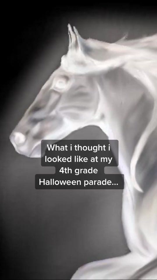 Post 10 by Julia on TikTok (video)