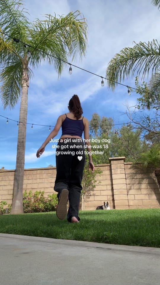 Post 1 by Alexa Dominguez on TikTok (video)