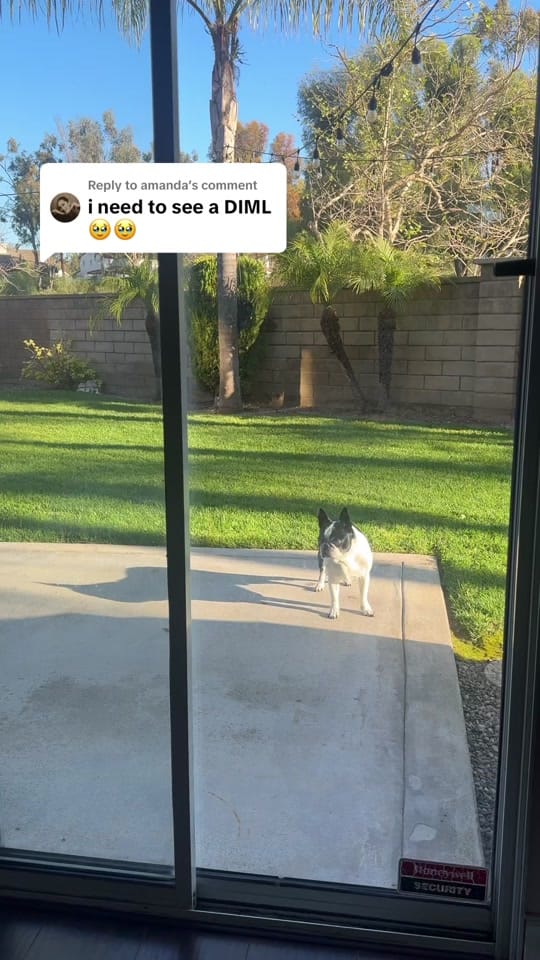 Post 6 by Alexa Dominguez on TikTok (video)