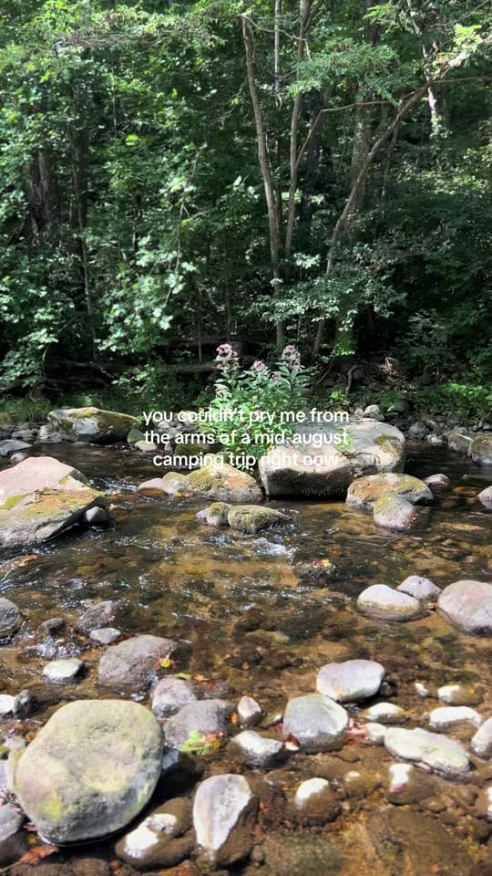Post 8 by Madison McClure 💐🍒🍯 on TikTok (video)