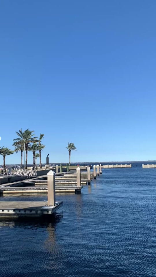 Post 1 by Jeanine Allen on TikTok (video)