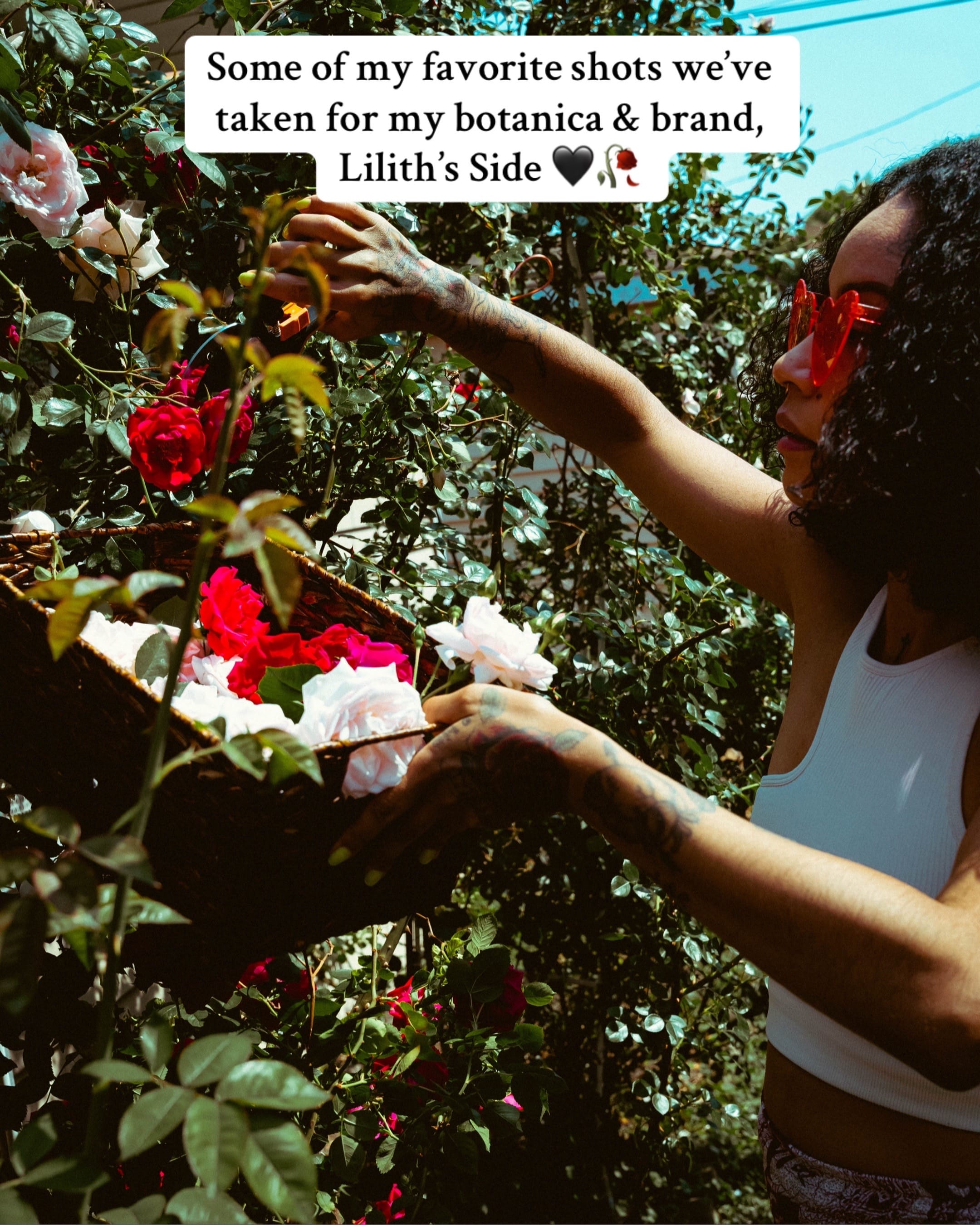 Post 9 by jetzi 👁 on TikTok (video)