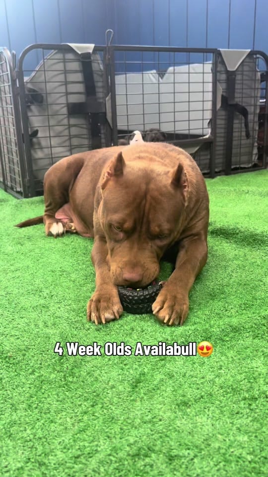 Post 10 by Gametight shop on TikTok (video)