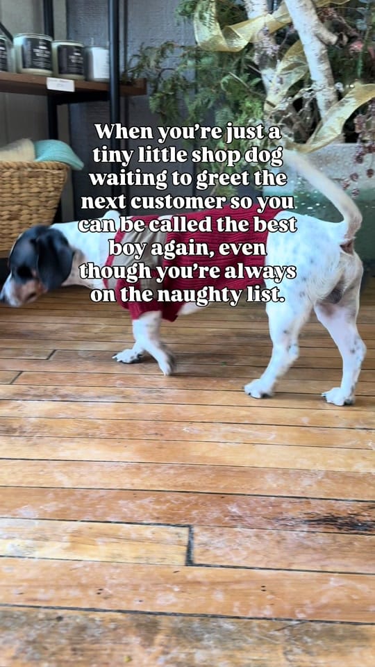 Post 2 by Rooted Apothecary on TikTok (video)