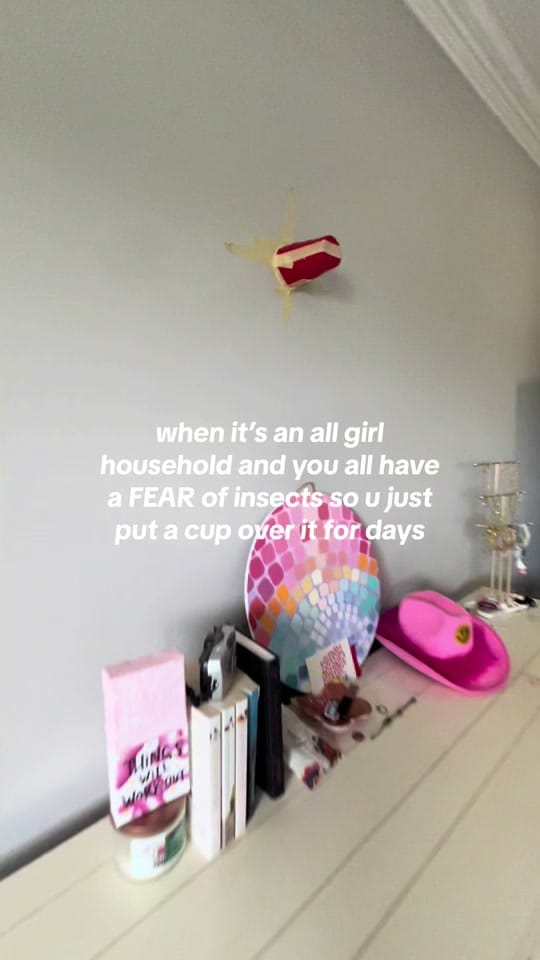 Post 9 by PAIGE VU on TikTok (video)
