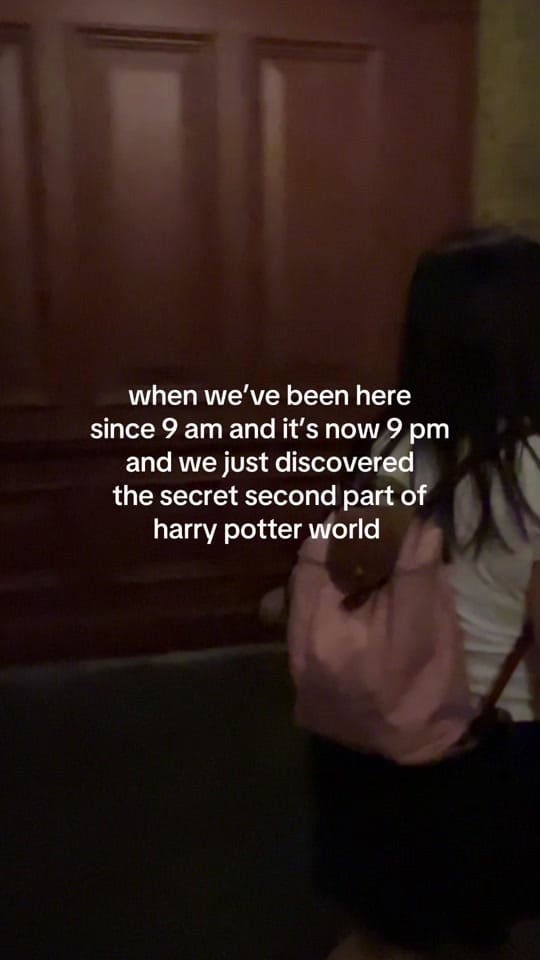 Post 8 by PAIGE VU on TikTok (video)