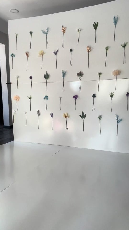 Post 4 by Jordan Lemay on TikTok (video)
