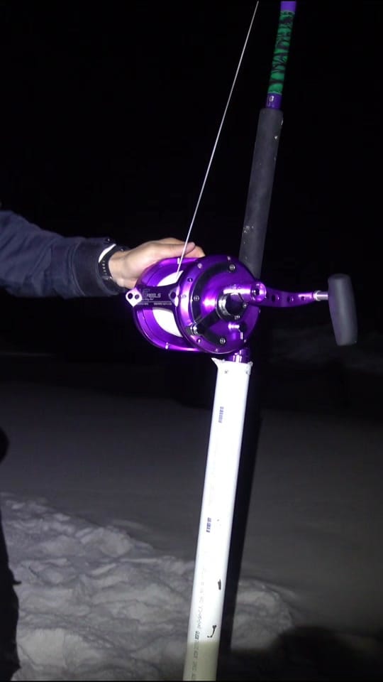 Post 8 by Beach Bomber Fishing on TikTok (video)