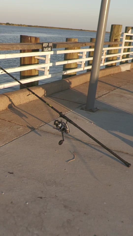 Post 2 by Beach Bomber Fishing on TikTok (video)