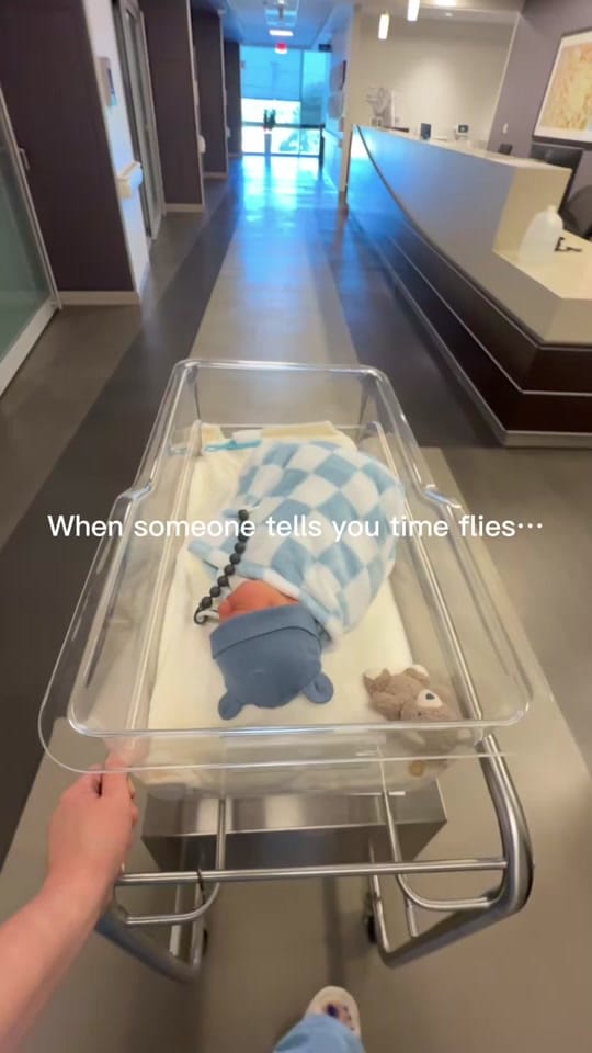 Post 6 by Hannah | TX photographer 📸✨ on TikTok (video)