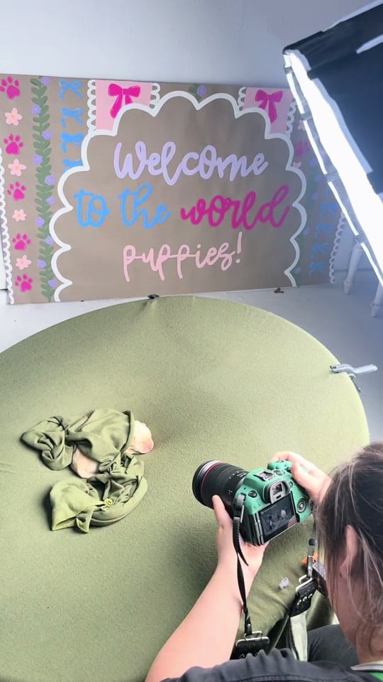 Post 1 by Hannah | TX photographer 📸✨ on TikTok (video)