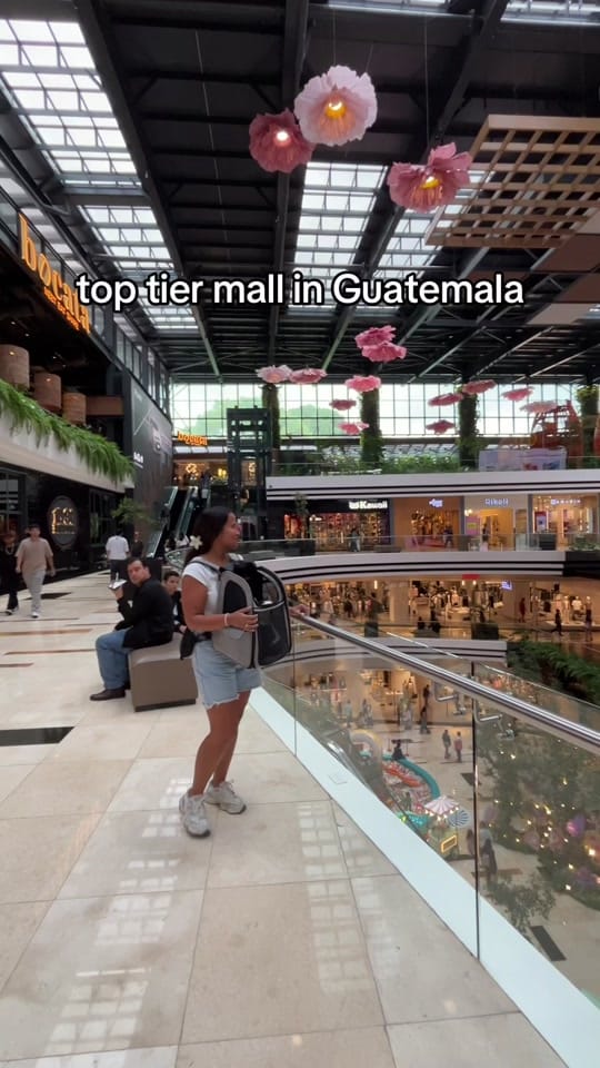 Post 8 by Jocelyn Zaly on TikTok (video)