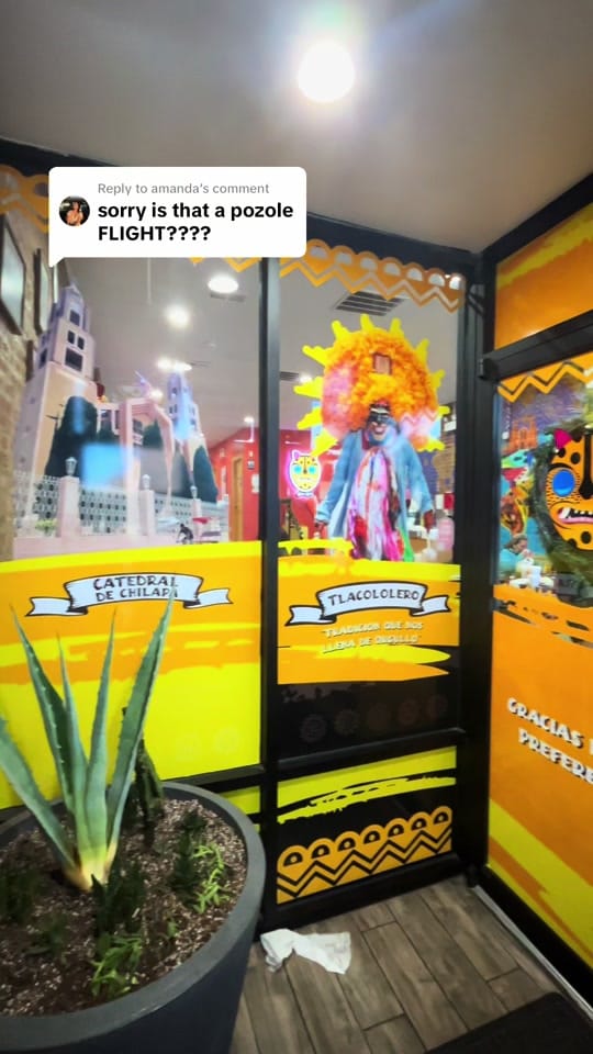 Post 10 by Jocelyn Zaly on TikTok (video)