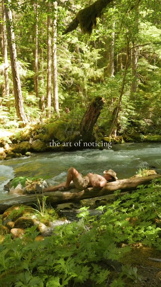 Post 2 by Nathanael Billings on TikTok (video)