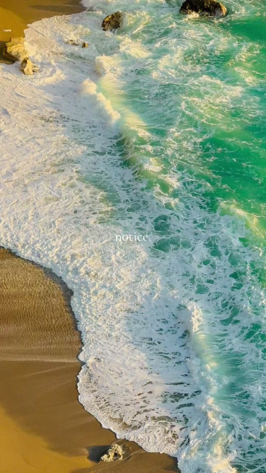 Post 7 by Nathanael Billings on TikTok (video)