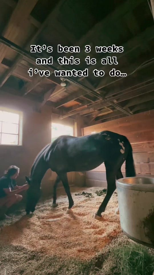 Post 10 by Morgan on TikTok (video)