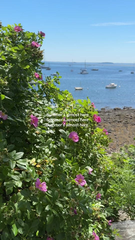 Post 5 by Brit Duffy ☀️ on TikTok (video)