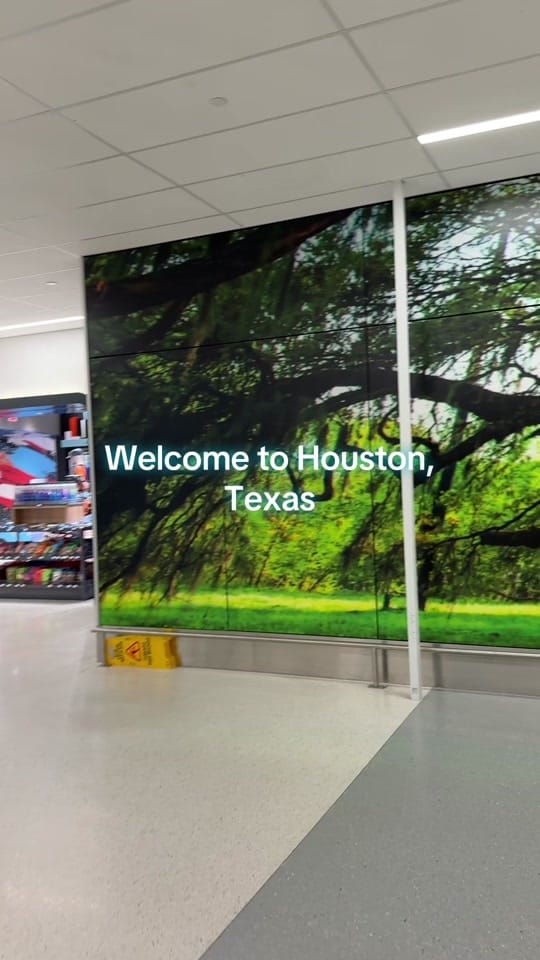 Post 2 by Mai Pham Houston food & travel on TikTok (video)