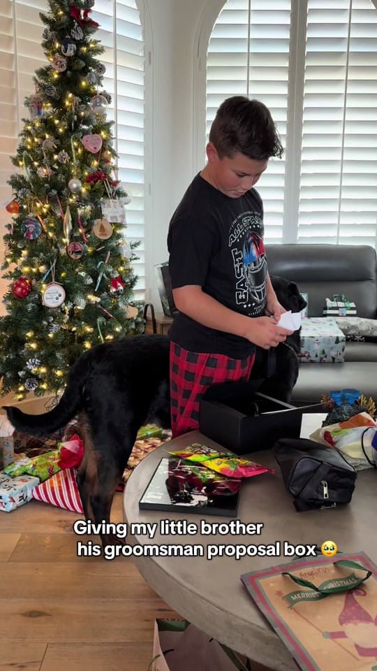 Post 7 by lifeofgallo on TikTok (video)