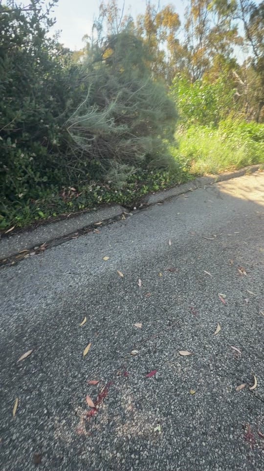Post 5 by Maria Elizarraraz on TikTok (video)