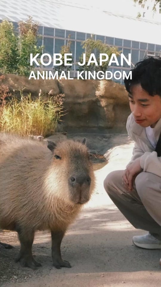 Post 9 by nomadminh · slow & solo travel on TikTok (video)