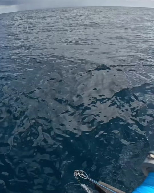 Post 2 by CaptCollier on TikTok (video)
