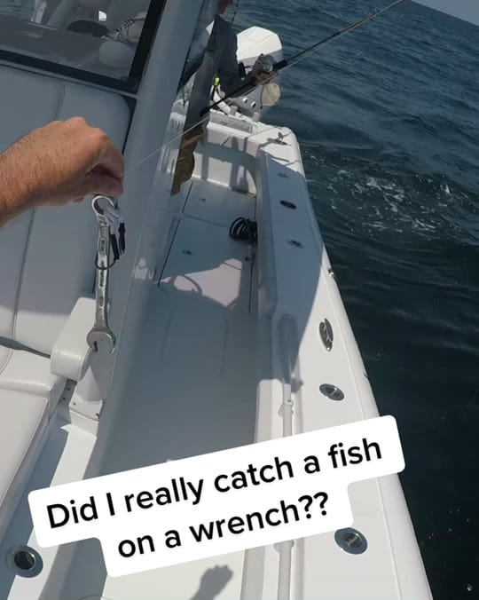 Post 10 by CaptCollier on TikTok (video)