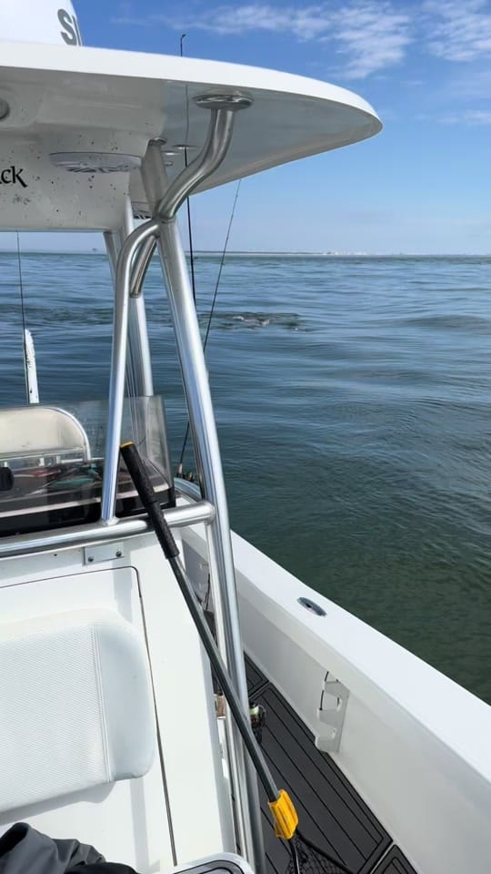 Post 3 by CaptCollier on TikTok (video)
