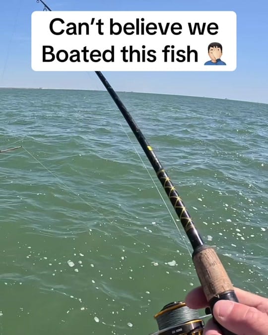 Post 6 by CaptCollier on TikTok (video)
