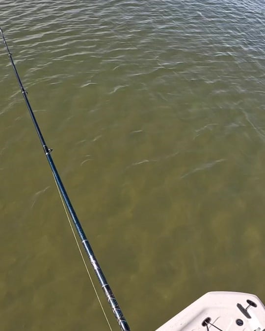 Post 5 by CaptCollier on TikTok (video)