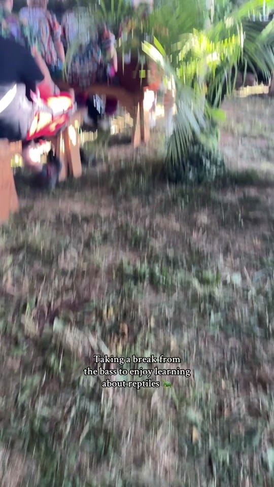 Post 8 by PEYTON on TikTok (video)