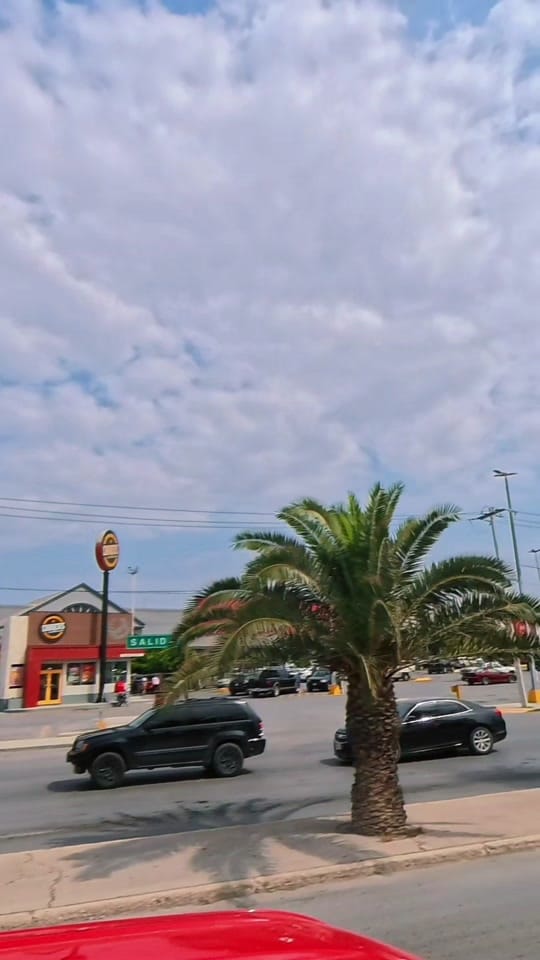 Post 5 by Naomi. on TikTok (video)