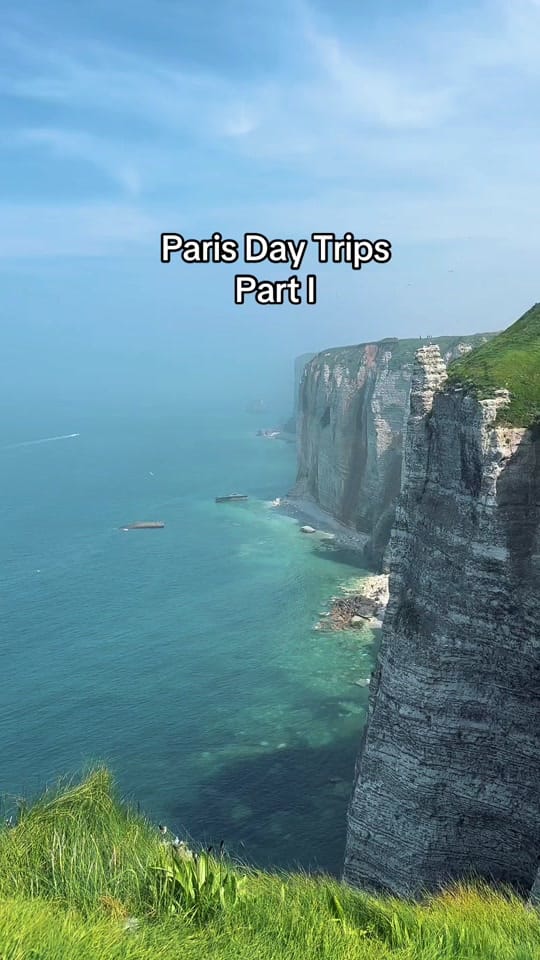 Post 9 by Sarah Mendelsohn on TikTok (video)