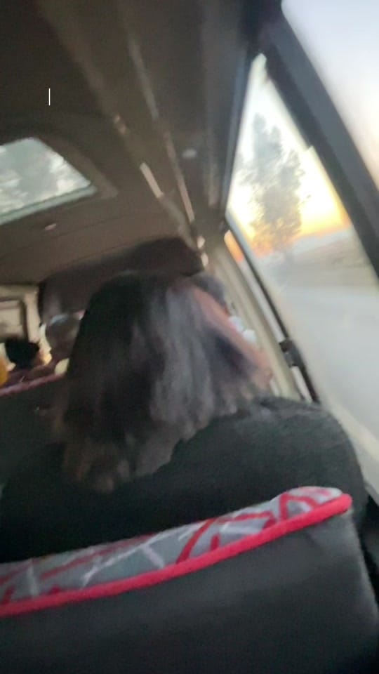 Post 10 by Sandiso_buffalofur on TikTok (video)