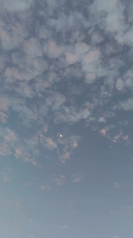 Post 7 by Vanessahoffmann on TikTok (video)