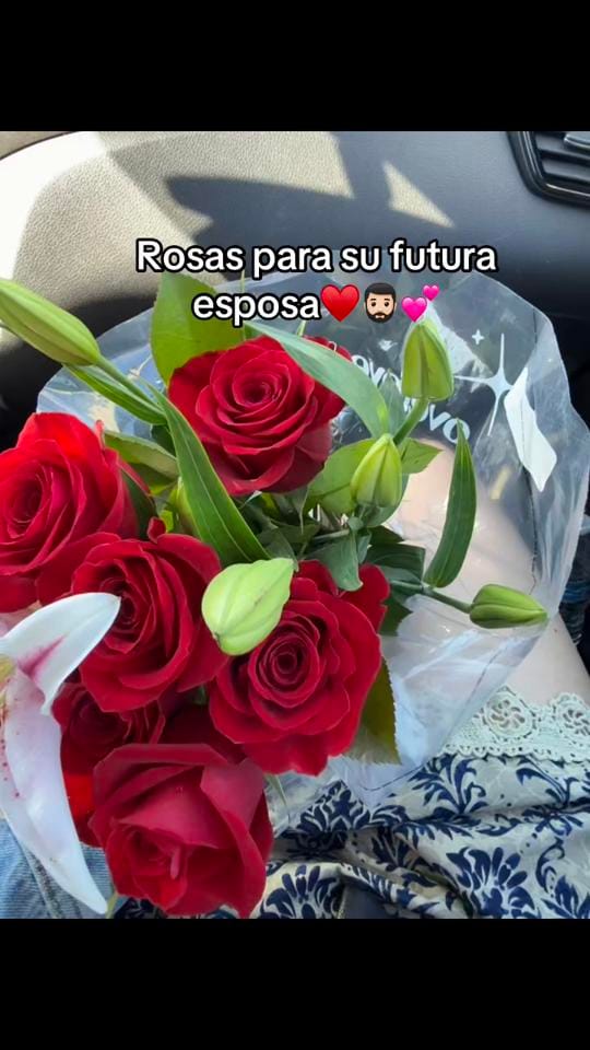 Post 4 by 𝓜𝓪𝓻𝓼𝓪𝓸𝓬𝓱 ♡ 𝓤𝓖𝓒 ✧ 🧚 on TikTok (video)