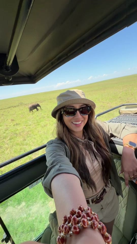 Post 6 by Amanda Monroe on TikTok (video)