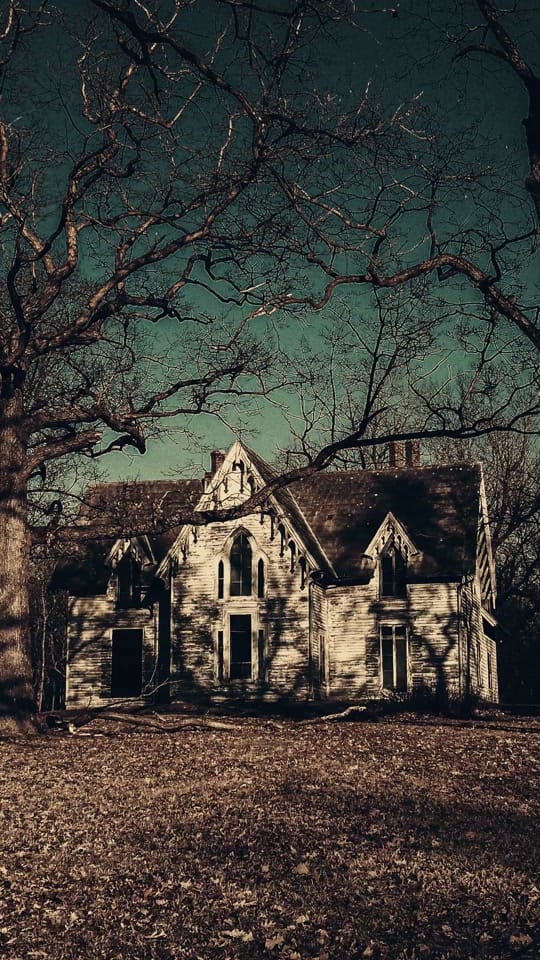 Post 4 by Wisconsin Frights on TikTok (video)
