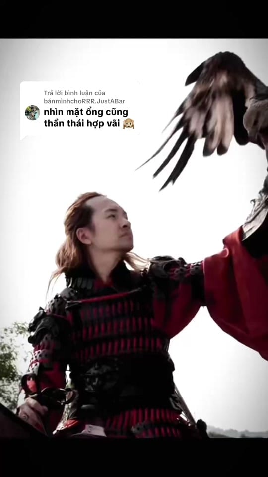 Post 10 by Markus Nguyen on TikTok (video)