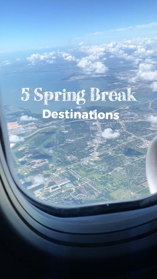Post 6 by Jami B.|Life & Real Estate on TikTok (video)
