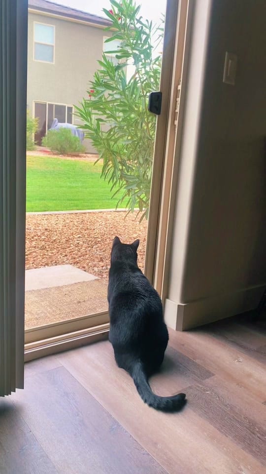 Post 9 by Brittney Georgiana on TikTok (video)