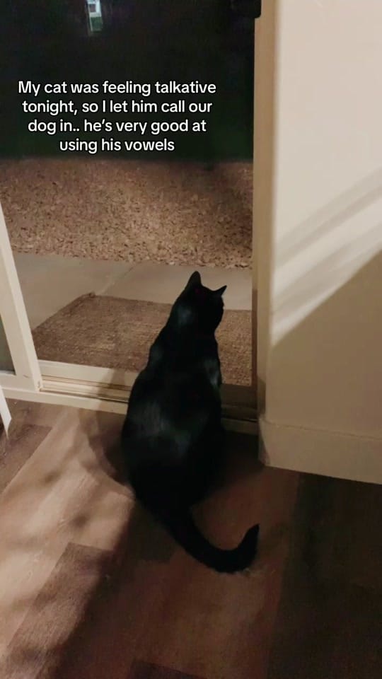 Post 10 by Brittney Georgiana on TikTok (video)