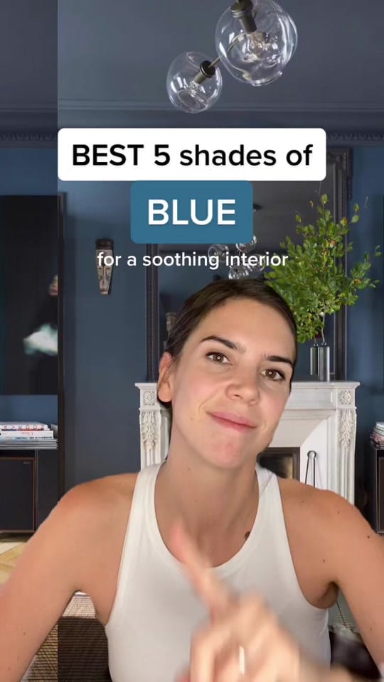 Post 4 by Adelaide chez Bel-Ami Paris on TikTok (video)
