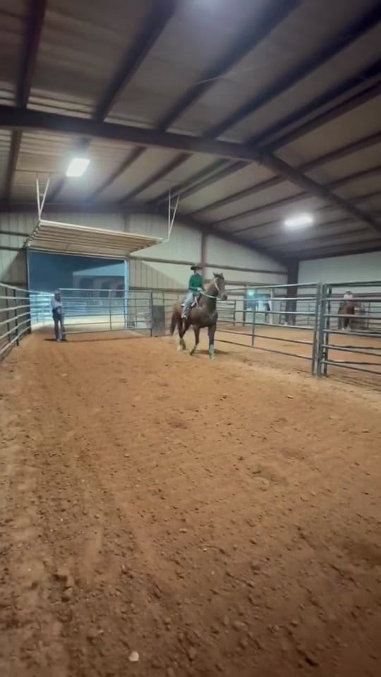 Post 1 by emerson on TikTok (video)