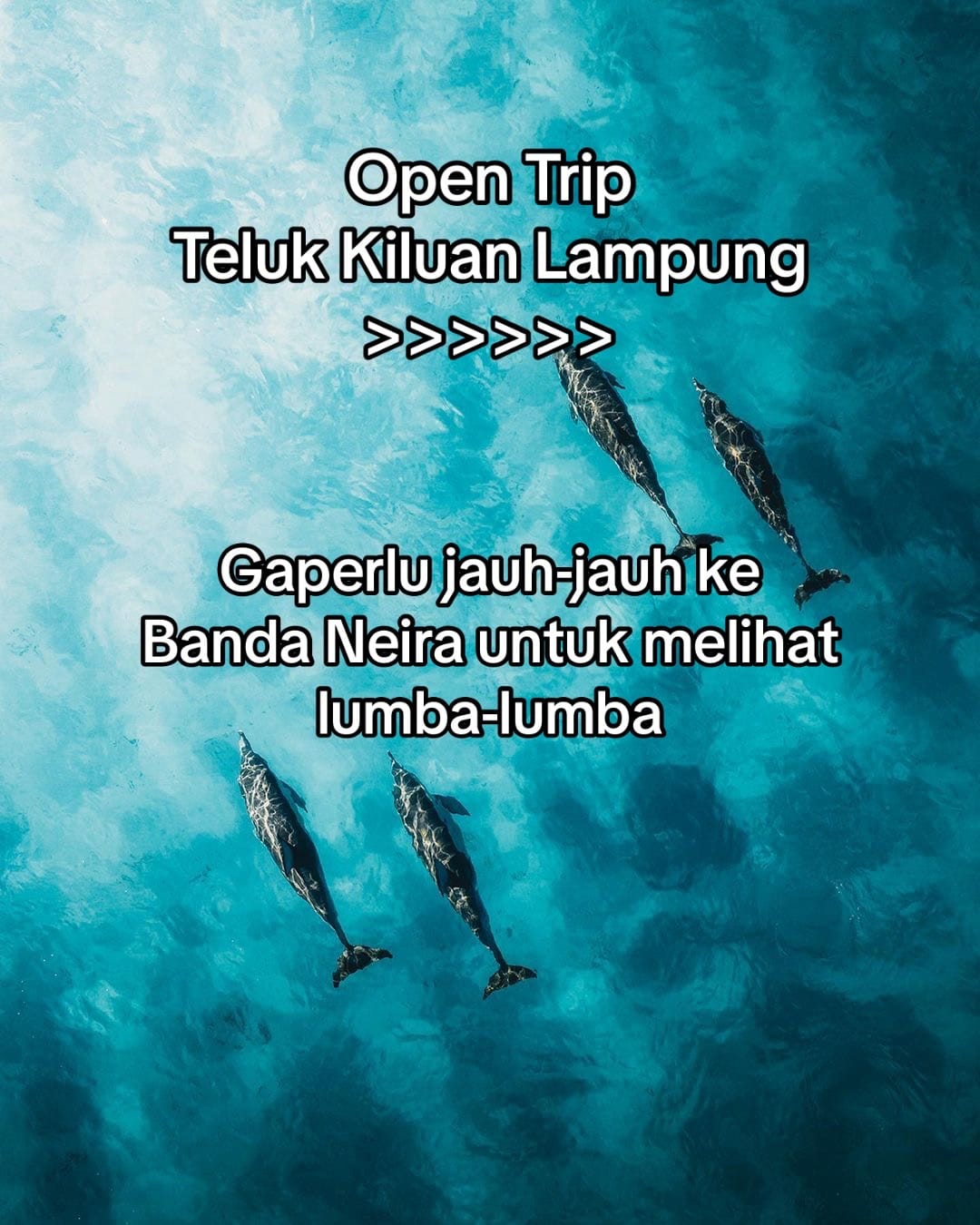 Post 8 by nusantaratravelindo on TikTok (video)