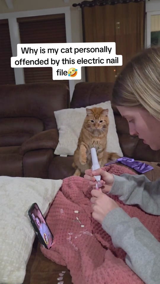 Post 6 by TravelingWithTerin on TikTok (video)