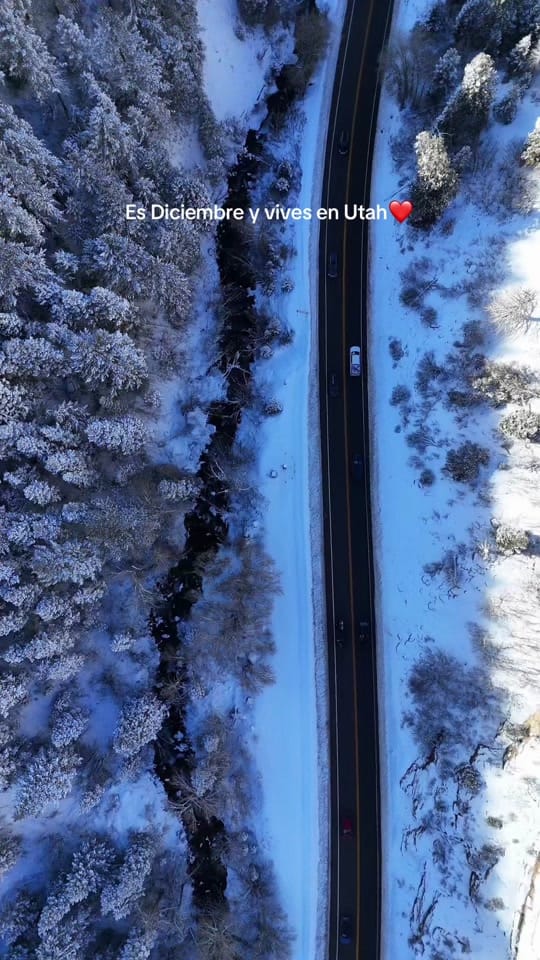 Post 7 by Hasly & Jp on TikTok (video)