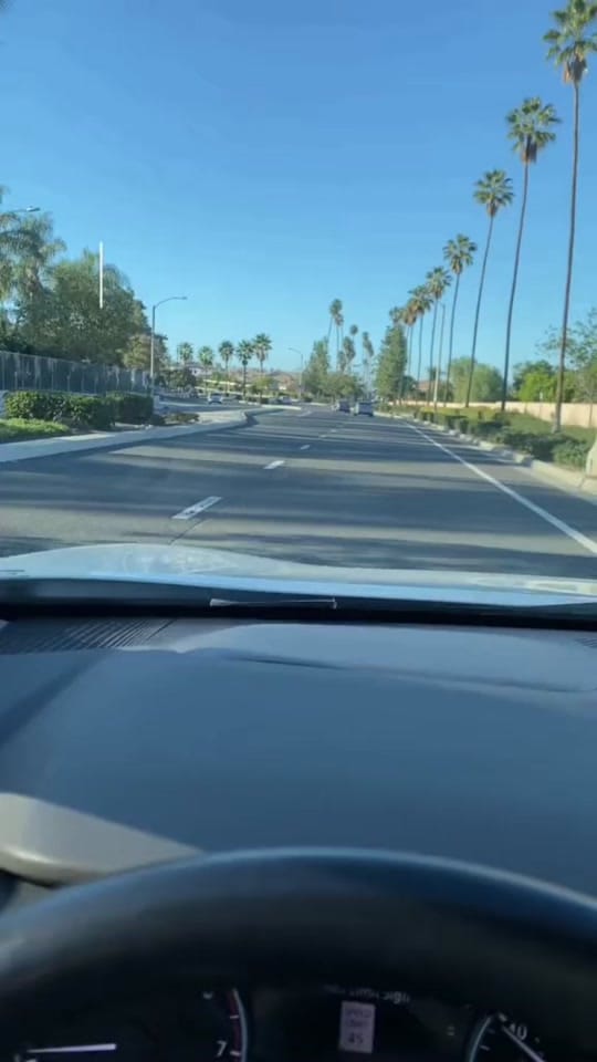 Post 7 by Ayde Leon🦋 on TikTok (video)