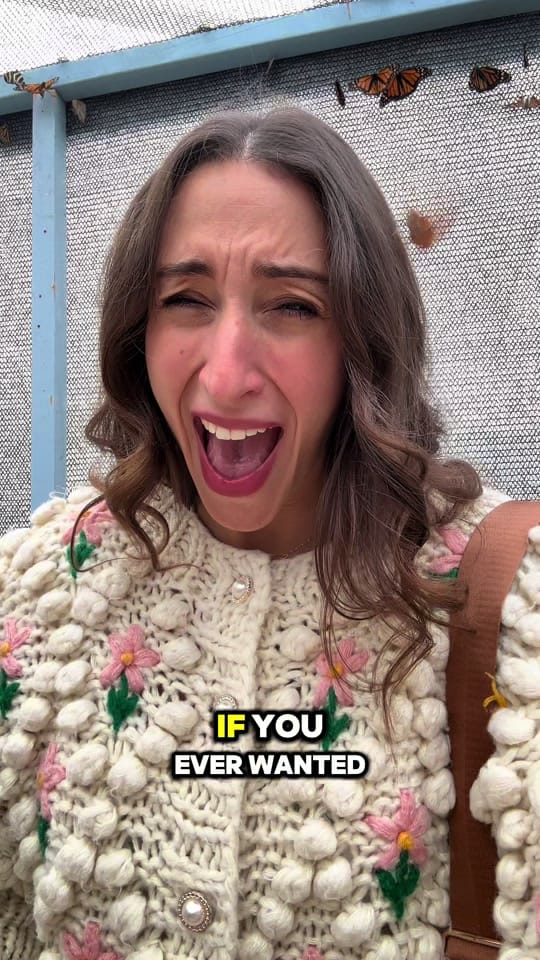 Post 3 by Sofia Piassi |Travel+Lifestyle on TikTok (video)