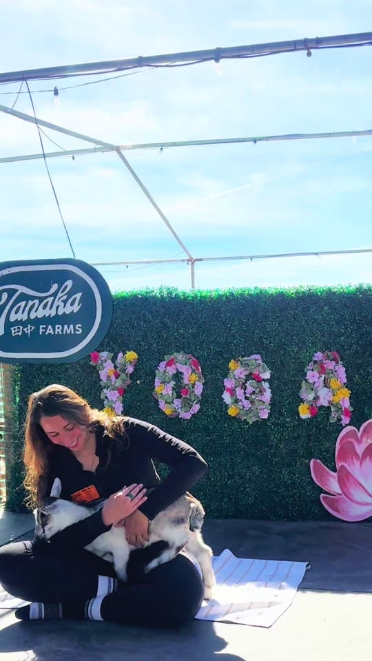 Post 1 by Sofia Piassi |Travel+Lifestyle on TikTok (video)